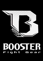 More about booster
